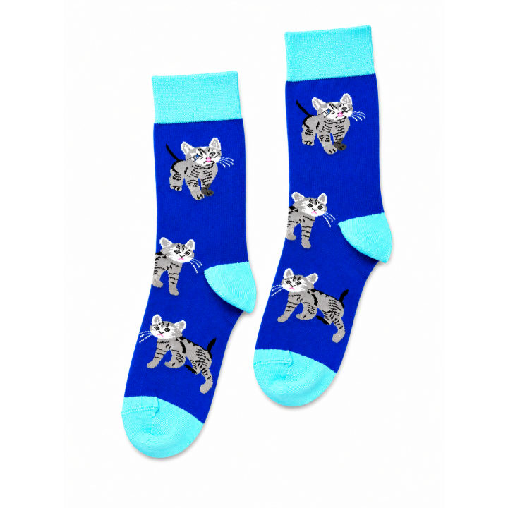 KATTEN BLAUW