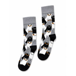KATTEN PARIJS