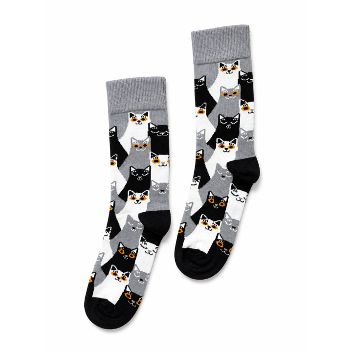 KATTEN PARIJS